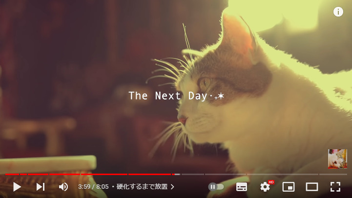 動画内でよく登場する猫のプンちゃんの横顔