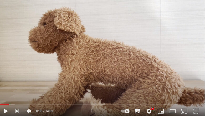 無料型紙あり】ハンドメイド 愛犬にぴったりサイズの服の選定方法 – ハンドメイドチャンネル