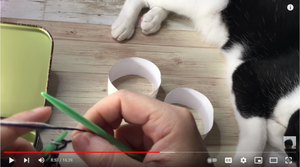 動画では、編み物をしている横で猫が寝そべっています。