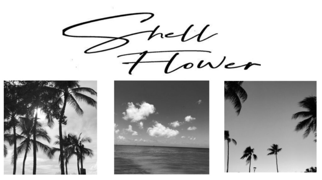 「ハンドメイドアクセサリー Shell Flower」のロゴ。オリジナルのアクセサリーを離島で制作しています。