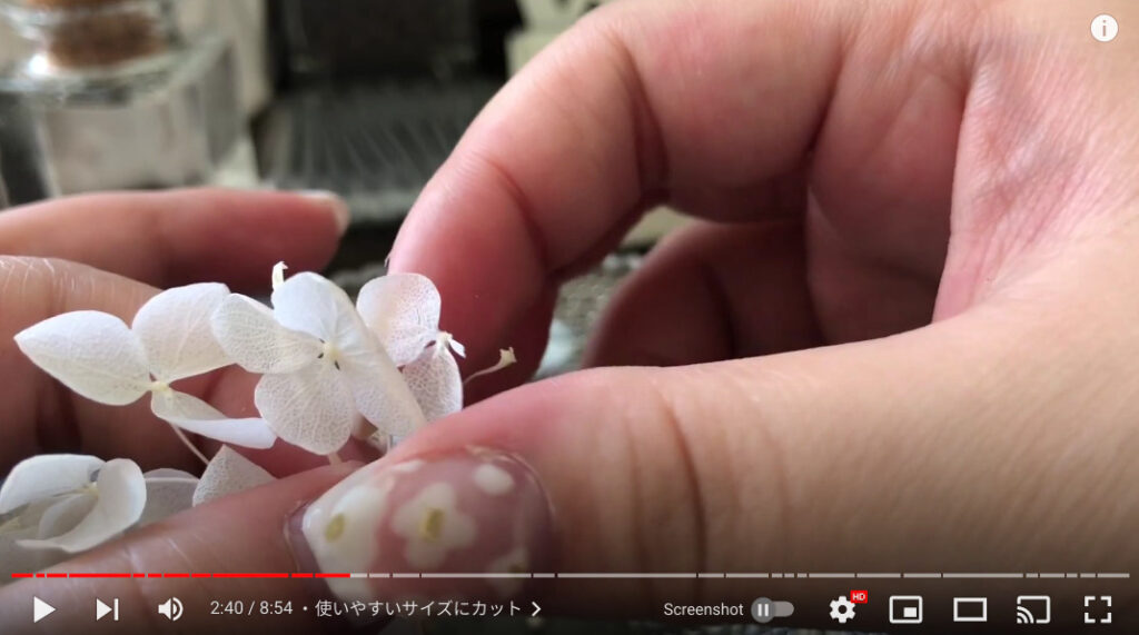 白いドライフラワーの花びらを1枚ずつ取り外している写真。