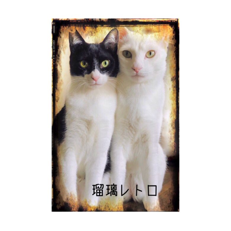 番場サトコさんのショップ「瑠璃レトロ」のサイト画像。右に真っ白の猫、左に白で顔と体の一部が黒い猫が並んでいる写真が使われている。