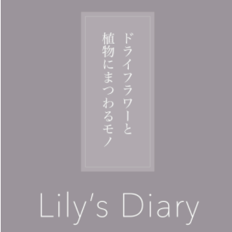 仁科理恵さんのショップLily’s Diary ードライフラワーと植物にまつわるモノーのトップ画像。