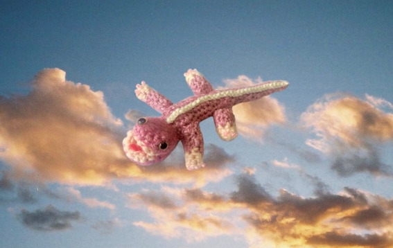 ピンク色のトカゲの編みぐるみの写真。空の写真の上に置かれている様子。