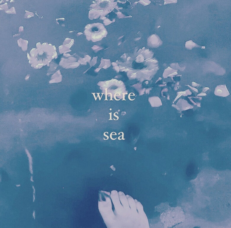 大津暁美さんのショップwhere is seaのトップ画像、花が浮いた水の上を歩いている足が写った写真の上にショップロゴが書かれている