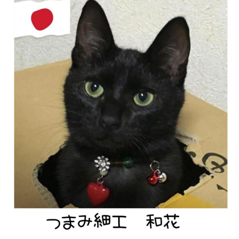 大西かおりさんのショップつまみ細工・和花のトップ画像、黒猫の写真の下にショップ名が書かれている
