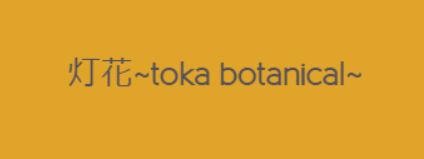 中村純子さんのショップ
灯花 ~toka-botanical~のトップ画像、オレンジの背景にショップ名が書かれている