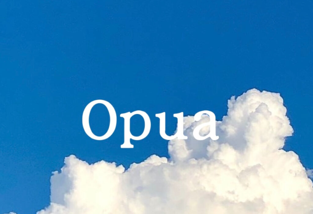 遠藤小雪さんのショップOpuaのトップ画像、青空にショップ名が書かれている