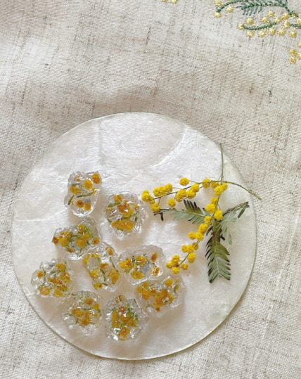シェルのお皿の上に、ミモザの花とミモザの花が入ったレジンが置かれている