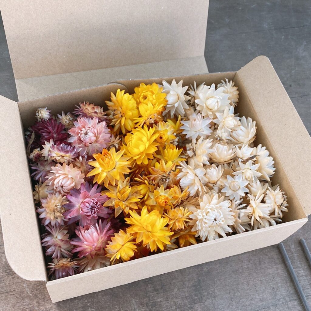 ヘリクリサムという白と黄色とピンクの花が詰められた箱の画像