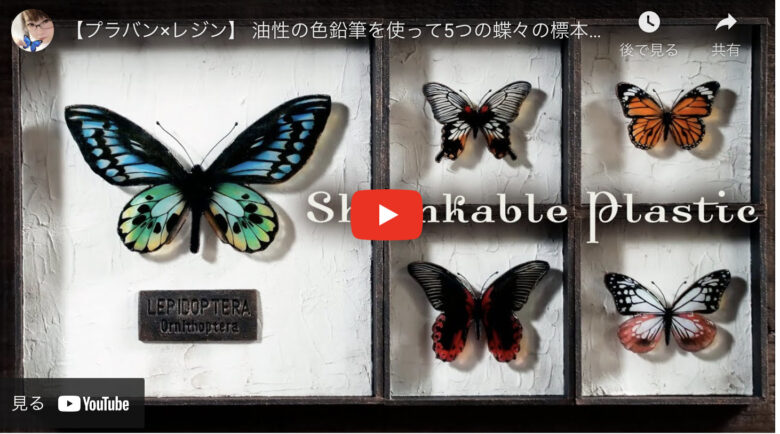 5種類の標本風の蝶の小物を作成